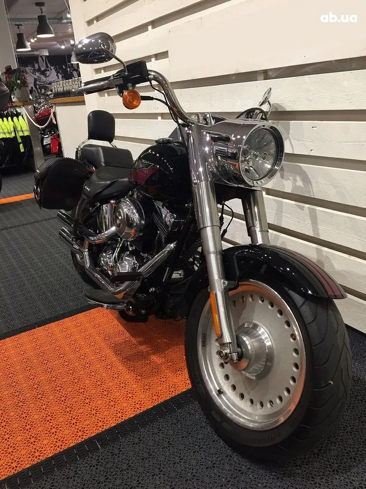 Harley-Davidson FLSTF Image 7